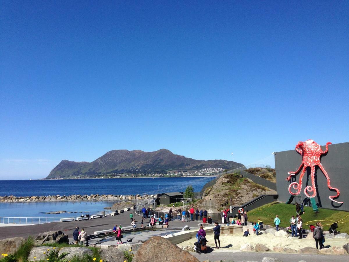 Four Monkeys Hotel Alesund Bagian luar foto